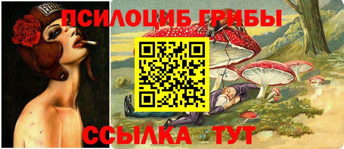 Кохма  Псилоцибиновые грибы Psilocybe  Галлюциногенные грибы Psilocybine cubensis  Вход с VPN 