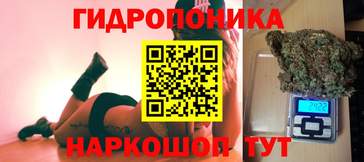Кохма  Конопля планчик  Вход с VPN  Бошки марихуана конопля  Конопля SATIVA & INDICA 